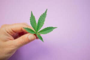 10 consigli per acquistare CBD in un negozio